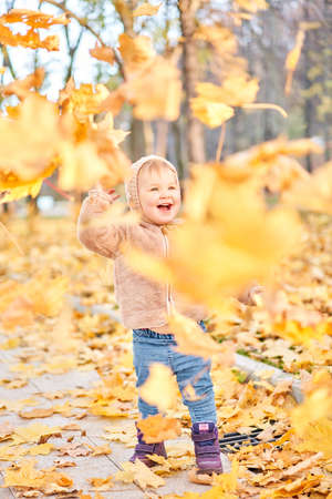 Yellow Autumn Park. Leaf fall and yellow leaves. Portraits of a cute 1 year old baby girl. sunny day.の写真素材