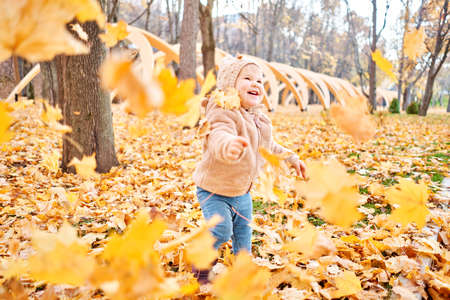 Yellow Autumn Park. Leaf fall and yellow leaves. Portraits of a cute 1 year old baby girl. sunny day.の写真素材