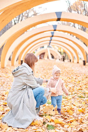Portraits of a cute 1 year old baby girl and her young mother. Walking in Yellow Autumn Park. Leaf fall and yellow leaves. sunny dayの写真素材