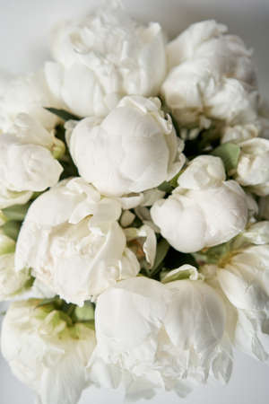 White peonies in a glass vase. Beautiful peony flower for catalog or online store. Floral shop concept . Beautiful fresh cut bouquet. Flowers deliveryの写真素材