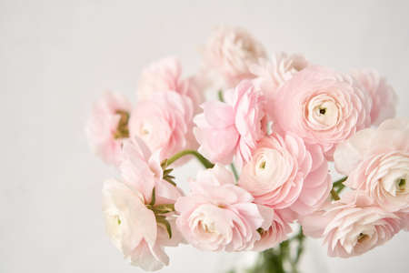 The background of ranunculus colors is gently pink. A riotous peony-shaped rose bouquetの写真素材