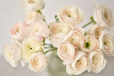 The background of ranunculus colors is gently pink. A riotous peony-shaped rose bouquetの写真素材