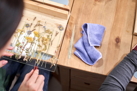 A woman fixes glass plates.. Master class on creating frame with Herbarium in tiffany technique in stained glass. Herbarium of dried different plants and flowers placed under a glassの写真素材