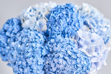 Beautiful blue hydrangea flowers in a vase on a table . Bouquet of blue pink flower. Decoration of...