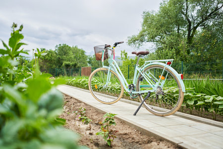 Retro bicycle with basket flowers. Flower field on the sunny morning. Beautiful flower seedlings growing in the soil at the garden. Gardening hobby concept.の写真素材