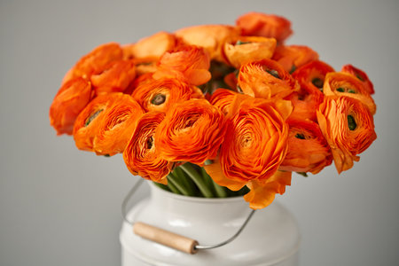 Persian buttercup. Bunch of orange ranunculus flowers on light gray background. Vase on vintage...