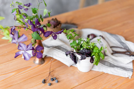 The composition is floral. Basil and garden flowers. Concept of home garden. Flower and garden shop.
