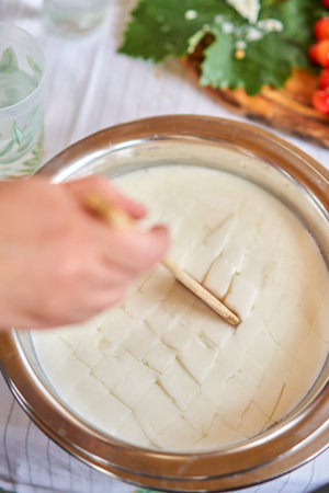 Master class and cheese tasting. Women make cheese. The enzyme and starter culture are added to the milk in a metal container. Milk folding process, home production, business, entrepreneur.の写真素材