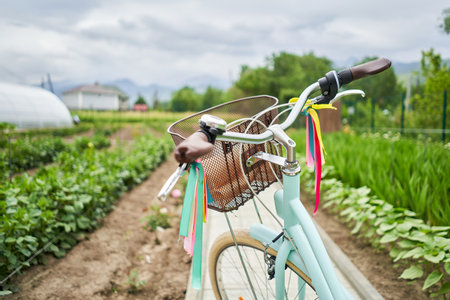 Retro bicycle with basket flowers. Flower field on the sunny morning. Beautiful flower seedlings growing in the soil at the garden. Gardening hobby concept.の写真素材