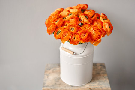 Persian buttercup. Bunch of orange ranunculus flowers on light gray background. Vase on vintage...