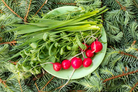 Fresh green onion parsley radish on a plate on the table. Vegetarian healthy foodの写真素材