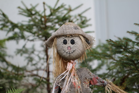 Scarecrowの写真素材