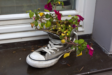 Flowers in old shoesの写真素材