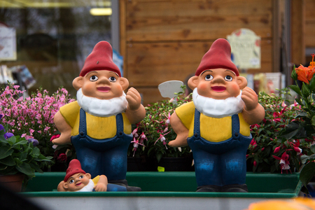 Garden gnomes. Decoration in the garden.の写真素材