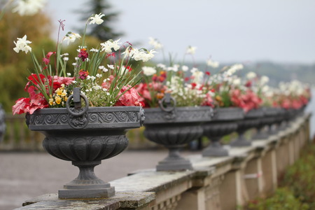 Beautiful decorative vases with flowersの写真素材