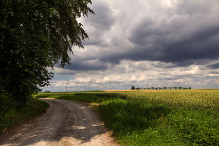 Summer Landscapeの写真素材