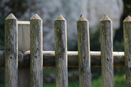 Fenceの写真素材