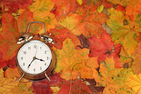 Alarm clock and autumn leavesの写真素材