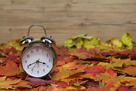 Alarm clock and autumn leaves