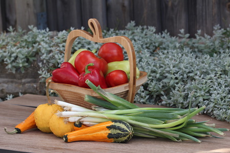 Vegetablesの写真素材