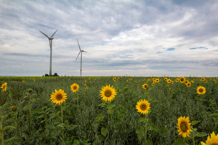 Windmill generator in wide yard / Yard of windmill power generator round blue sky, shown as energy industry conceptの写真素材