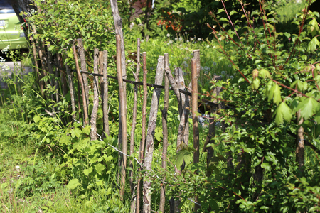 Lath fenceの写真素材