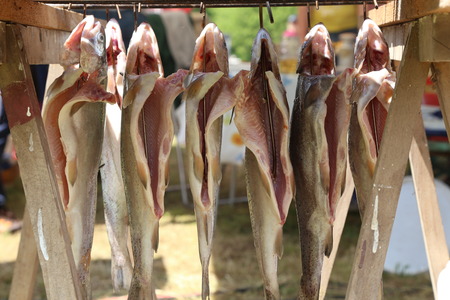 Smoking of fish / The process of smoking fish