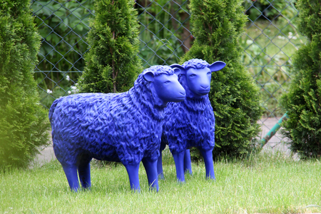 Blue figures of sheep standing in the gardenの写真素材