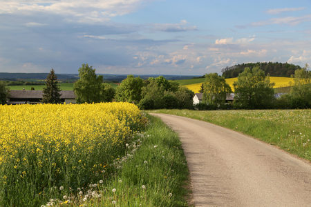 Spring landscape / landscape with a road in the foregroundの写真素材