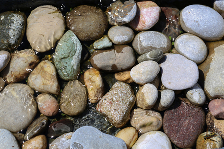 Background / river pebbles in flowing waterの写真素材