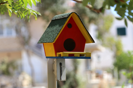Birdhouse  Bird house in tree from the forestの写真素材