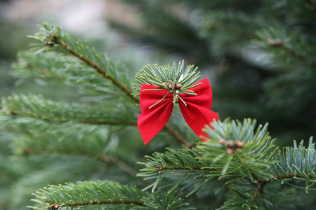 Beautiful Christmas and New Years scene  Christmas marketの写真素材