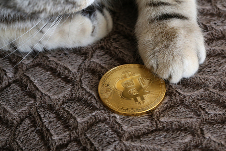 Bitcoin. Physical bit coin. Digital currency. Crypto currency.の写真素材