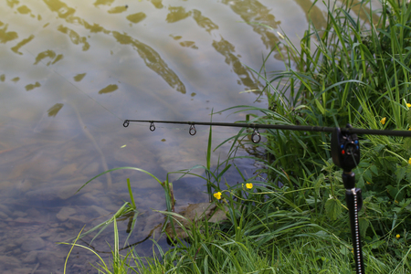 Fishing by the lake. The fisherman frees the fish from the hook.の写真素材