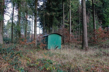 Trailer for lumberjack stands in the forest.の写真素材