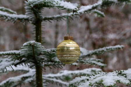 Compositions from the Christmas tree toy in winter forestの写真素材