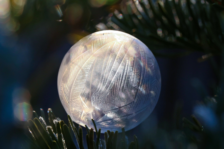 Photo of fairy soap bubbles on a frost