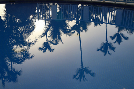 Reflection in the poolの写真素材