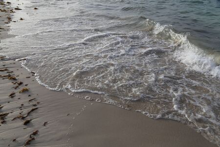 Wave on a sandy beach