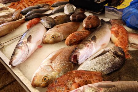 Different sea fish at a fish market in Croatia.