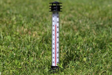 Hot summer. The thermometer in the grass shows a high temperature.の写真素材
