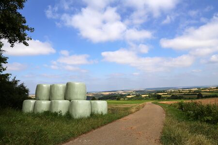 Countryside field with hay bale wrapped in plastic on sunny dayの写真素材