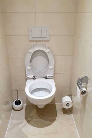 Interior of bathroom. New ceramic toilet near the wall.