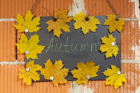 AUTUMN - An inscription on a black board decorated with maple leavesの写真素材