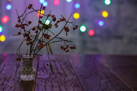 A dry twig in a glass vase is on the table.の写真素材
