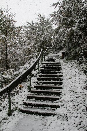 Staircase covered with white snow in the middle of the winter forest