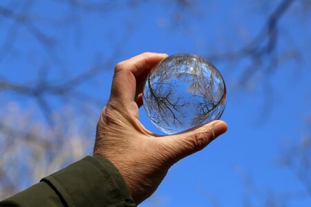 Trees in the forest and blue sky through a transparent glass ball