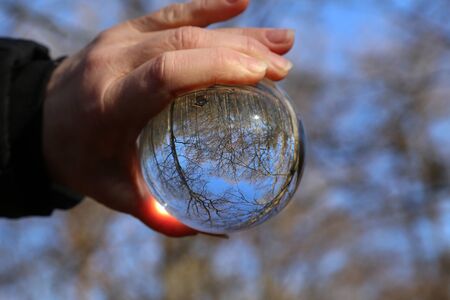 Trees in the forest and blue sky through a transparent glass ballの写真素材