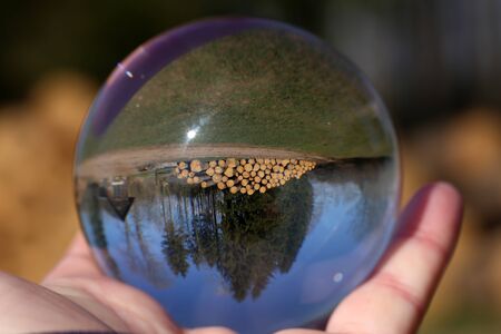 Freshly sawn logs in nature through a glass ball.の写真素材