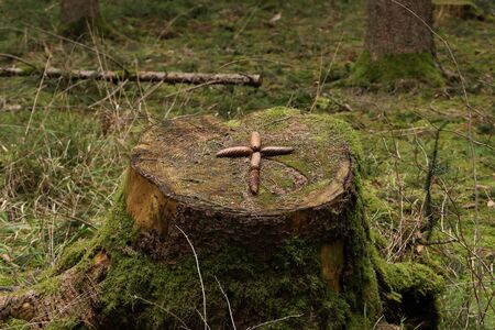 The cross is laid out on the stump of spruce conesの写真素材